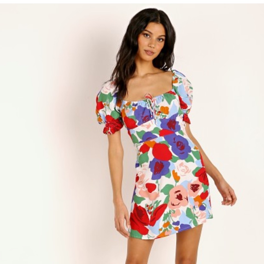 FAITHFULL THE BRAND IRIS MINI DRESS IN ANITA FLORAL PRINT SIZE 2